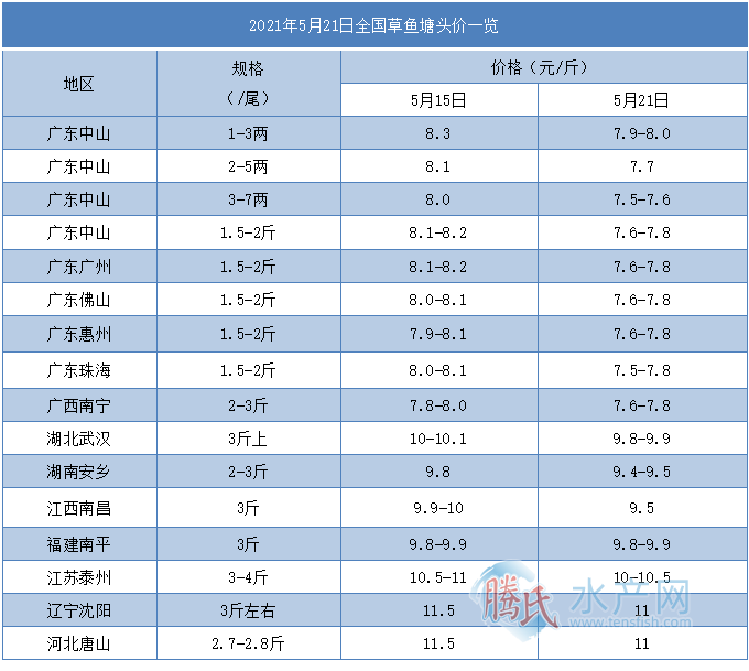 草鱼卖高档鱼价!猪价暴跌导致鱼价大幅下跌?全国缺鱼,市场前景依然看涨! 草鱼卖高档鱼价!猪价暴跌导致鱼价大幅下跌?全国缺鱼,市场前景依然看涨!