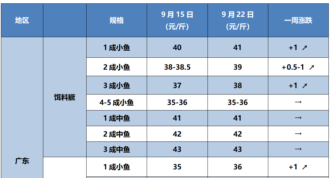 41-43元/斤！中鳜值钱了，养殖户开塘卖鱼热情高涨 | 杰大饲料联合播报