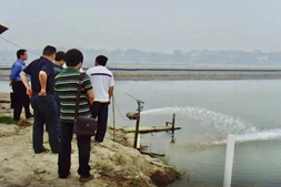 来自一线的经验总结！今年遭遇了极端高温天气，安徽不少河蟹养殖户这样做……