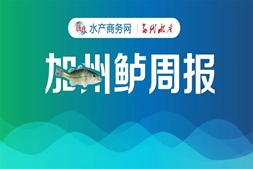 广东鲈价领跌0.5元/斤，菱湖最高跌1元/斤，节后消费需求减弱，价格回调