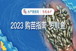 仍有40%旧鱼存塘，投苗量或减超20%，这条鱼“危”中带有哪些“机”？｜2023购苗指南·罗非鱼