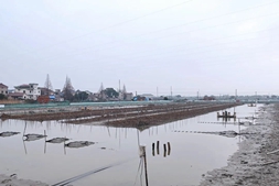 年销大眼幼体1000多斤,蟹料预售增长200%,看这位科班出身的好润总店长如何在传统市场破冰前行