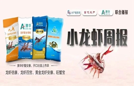 市场缺货涨价！小龙虾苗最高去到26元/斤，上市的小龙虾成了“香饽饽” | 澳华联合播报