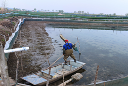 好苗养好蟹!扣蟹翻倍率高不愁销,“好润1号”用实力征服养殖户