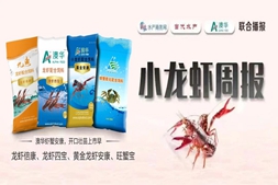 暴涨！小龙虾部分规格涨价超10元/斤，五一后会有怎样的趋势？ | 澳华联合播报