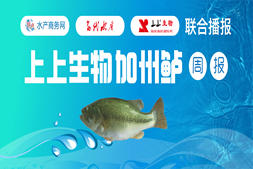 缺大鱼！广东、湖州鲈价最高涨0.5元/斤，多地清塘投苗，存塘量减少 | 上上生物联合报价⑮