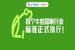 牛蛙频遇产业危机！病害难控、抗生素滥用、药残超标……千亿牛蛙市场首次寻“规”破局