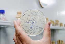 诺安百特开展全国弧菌收集的调研行，建立噬菌体数据库，持续进行产品升级