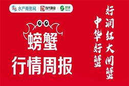 2两母蟹高于去年同期近20元/斤！湖北养殖户投苗积极性高涨…… | 好润联合播报