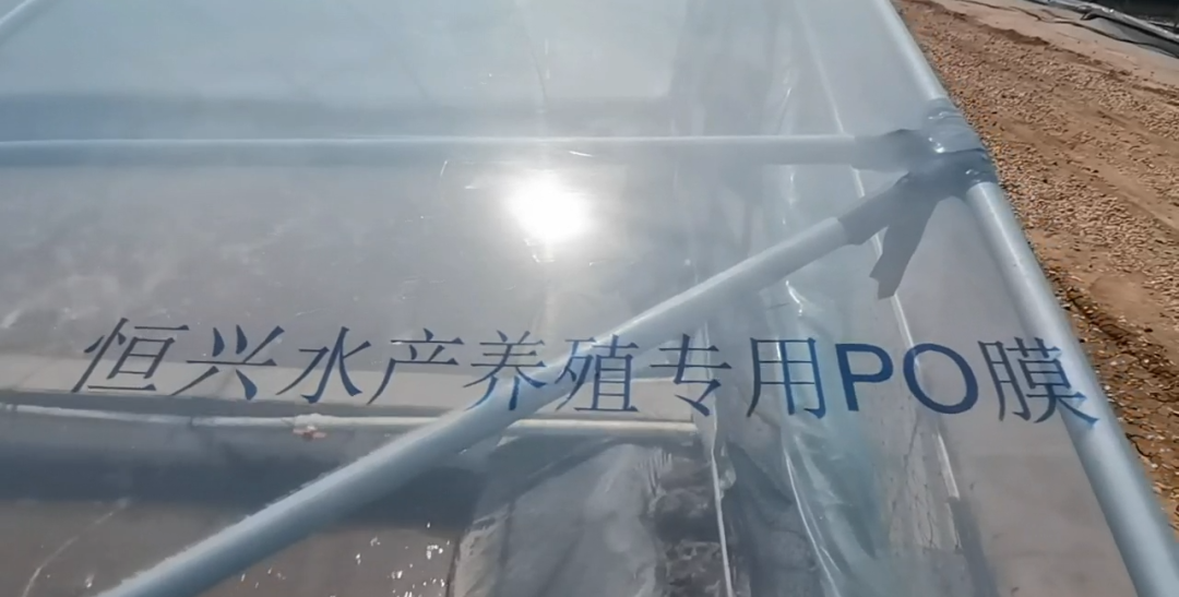 47d71cd10177ef3a1162b8ab845698e4.png
