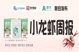 小龙虾减产还掉价，究竟是什么原因，导致今年的小龙虾市场如此低迷？ | 澳华联合播报⑬