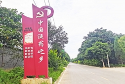 市场寒冬提前来临，“无鱼而渔”的临猗渔药企业怎么办？