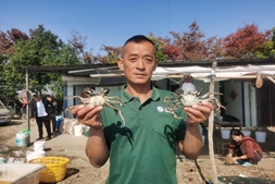 精品蟹和普蟹的盈利点在哪？这几位高手的盈利诀窍值得借鉴｜精品蟹养成记⑤