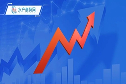 两广小棚虾仅剩2-3成！20头精品虾卖25元，福建虾大涨4元｜粤海联合播报⑥
