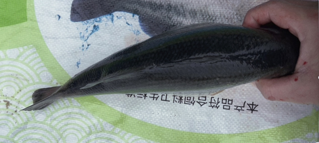 505c2b7ec01abdbe84713a3efe9ecdd1.png