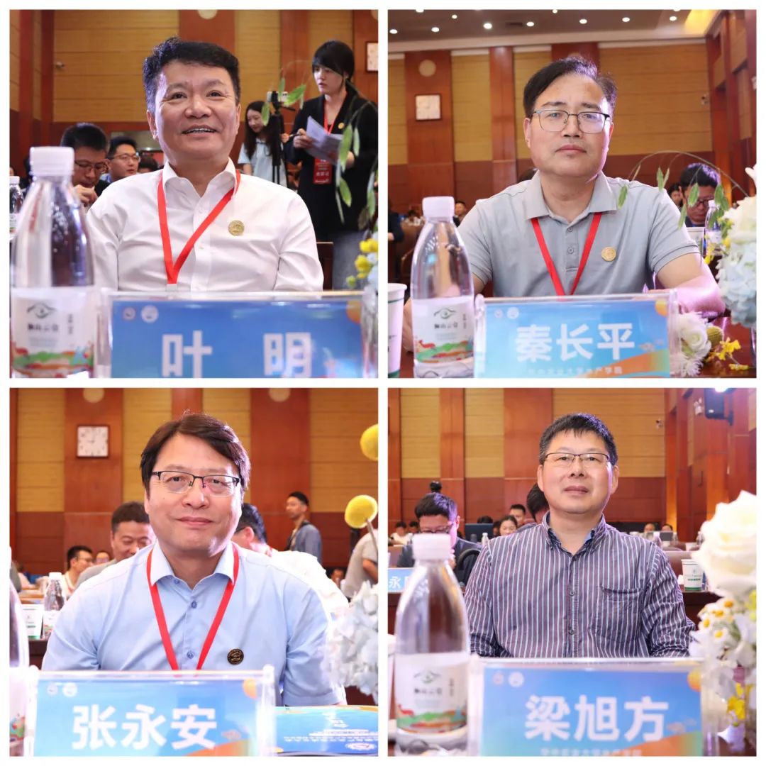 60be81fafa1e0f794d19e076042d929f.jpg