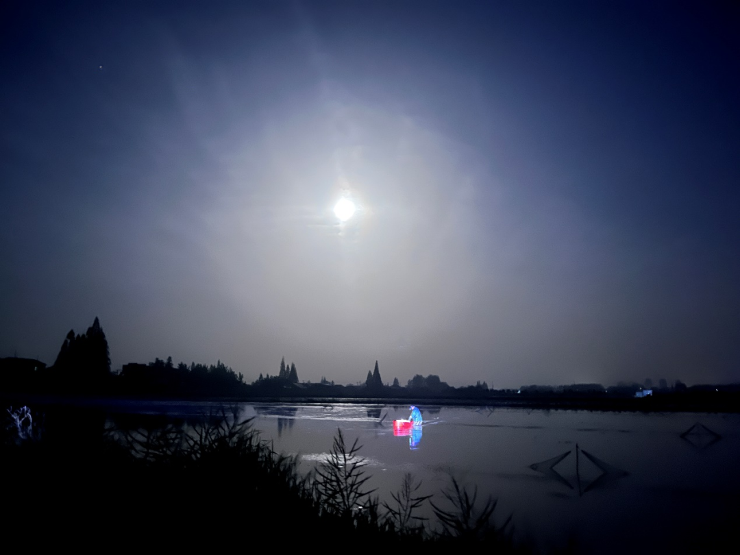 90c8dcd00e9ac77fb7f0d8a276fcba42.png