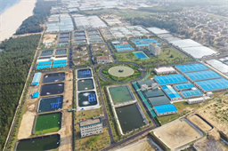 抗弧菌力飙升26%，成活率提高10%！新品种虾苗“中兴2号”被疯狂预定！