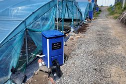 小棚养虾步入“精算”时代!比人工快大20头,一张棚多赚一台投料机!