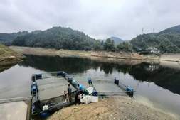 一批鱼赚21万元，他是这样做到的！