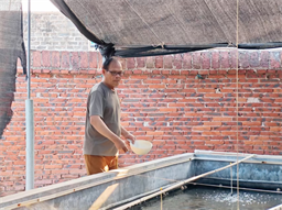 2026年，麦叔清空了冰柜，做个潇洒的养螺人！