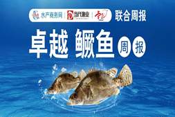 涨声一片！鳜鱼最高涨1.5元/斤，市场走量加快｜海南卓越联合播报⑱