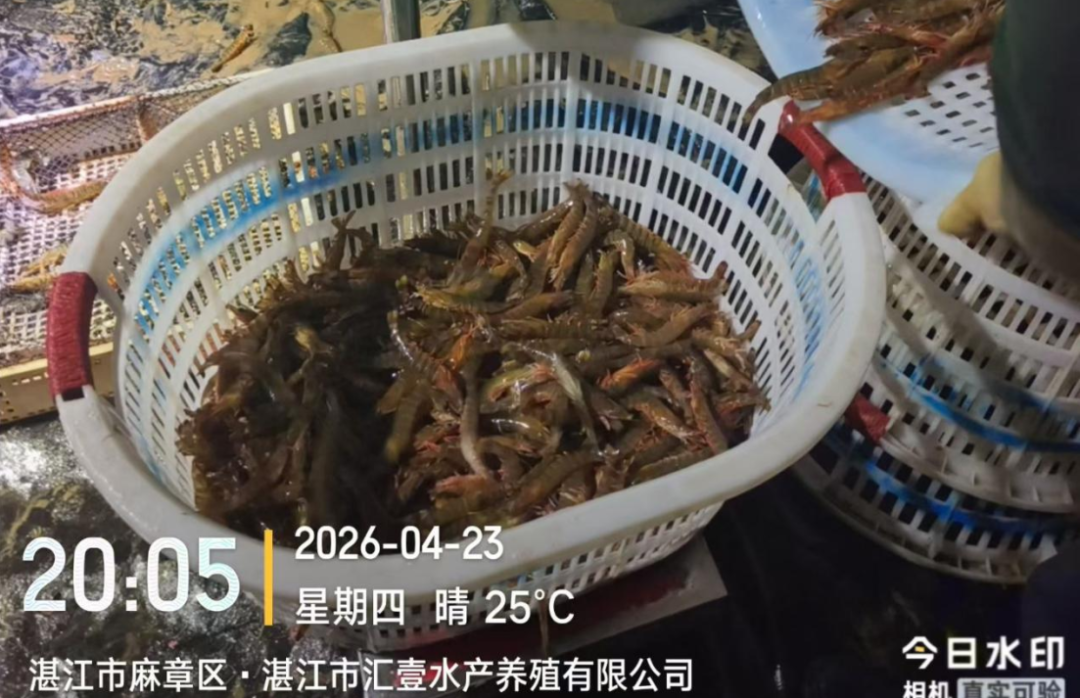 c95e3cef659554a073f28f9d7314fbc2.png