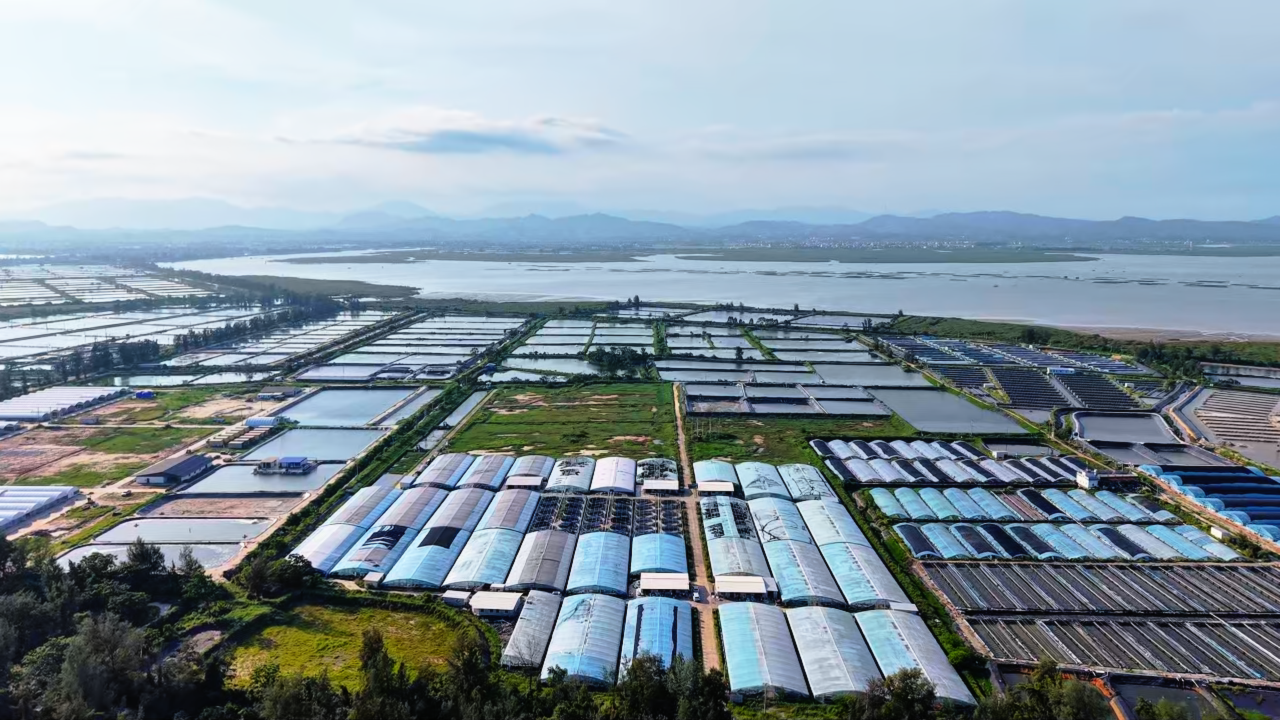 3941884303edf3bbd426f7a5dc7141a3.png