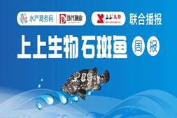 大规格东星斑再涨4~5元/斤!珍珠斑中小规格小涨,福建走货顺畅但涨价乏力