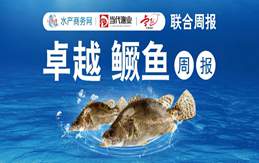 广东标鳜暴跌9元/斤！多地跟跌，恐慌抛售加剧行情崩盘｜海南卓越联合播报㉛