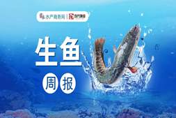 难顶!高温下一车死鱼过千斤,生鱼后市何去何从?|生鱼周报㉝