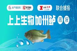 “根本出不完”!开海+秋鱼过剩冲击,广东鲈价微跌0.2元|高端水产·看上上报价㉝