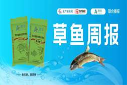 大虾“一虾难求”！珠三角全线上涨，25头价格冲上20元！