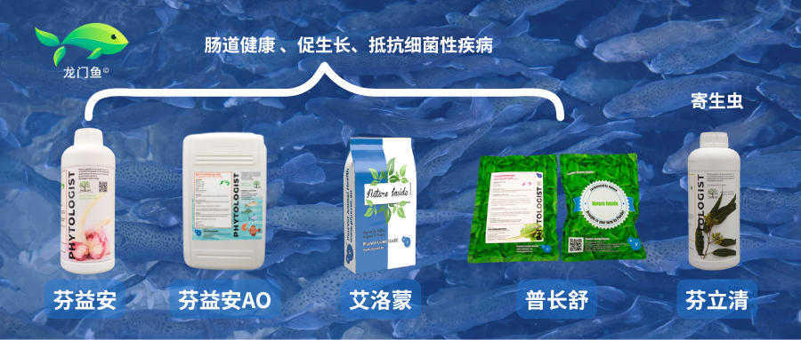 06eea24664e535817cb9570712e05efe.png