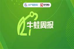 涨涨涨!大蛙涨至10.5元/斤,后市能否冲上11元? | 牛蛙周报㊷