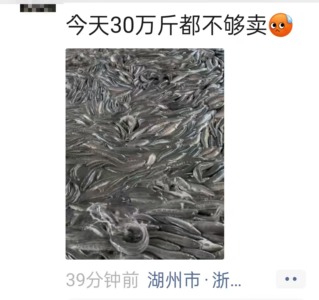 4815af5af9a8cafcb3278ad235e1d5ae.png