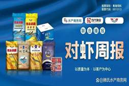 肇庆罗虾杀疯了!一周暴涨5-6元,下午虾冲破40元大关|粤海联合播报㊶